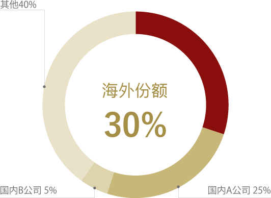 海外市场份额30%